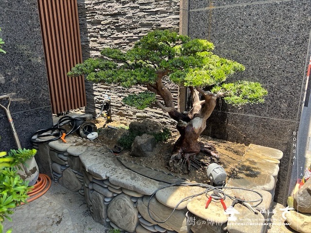 img 3590 1 [我們的作品]大門景觀設計施工-案0720 客戶案例