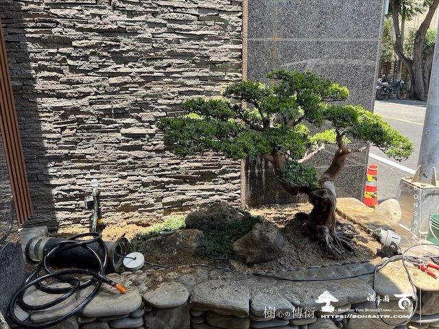 img 3591 1 [我們的作品]大門景觀設計施工-案0720 客戶案例