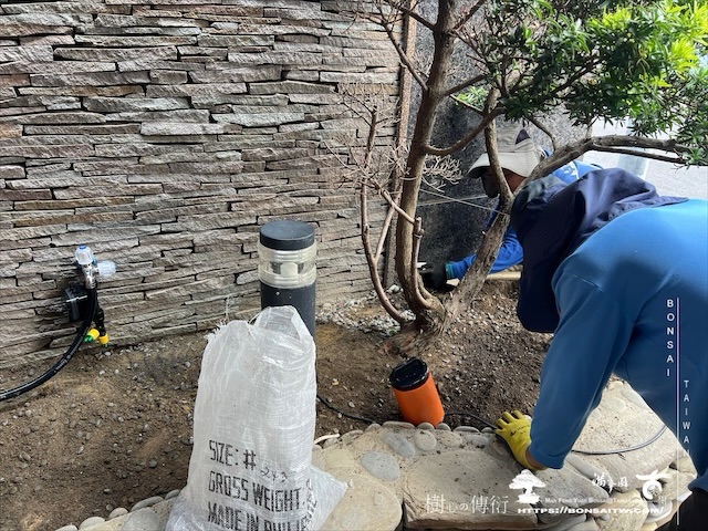 img 3592 1 [我們的作品]大門景觀設計施工-案0720 客戶案例