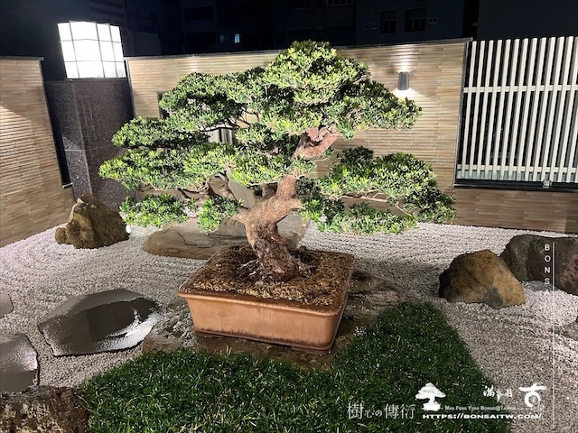 img 3627 1 [我們的作品]客廳景觀設計施工-案0721 露台造景