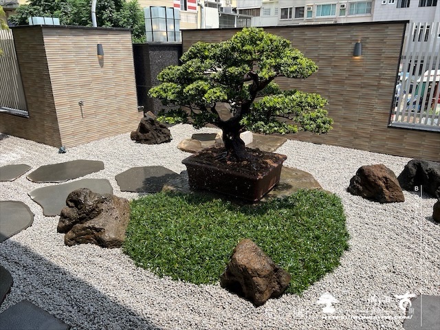 img 3630 1 [我們的作品]客廳景觀設計施工-案0721 露台造景