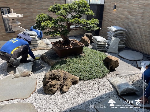 img 3636 1 [我們的作品]客廳景觀設計施工-案0721 露台造景