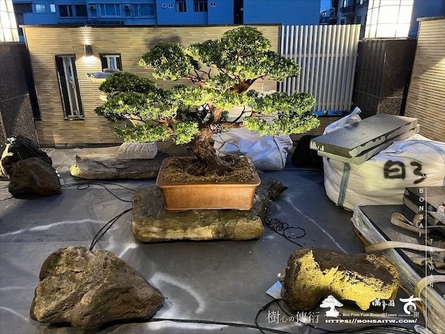 img 3643 1 [我們的作品]客廳景觀設計施工-案0721 露台造景