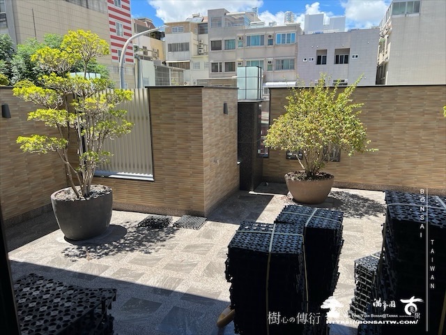 img 3648 1 [我們的作品]客廳景觀設計施工-案0721 露台造景