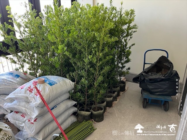 img 3695 1 [我們的作品]景觀綠籬施工-案0802 露台造景