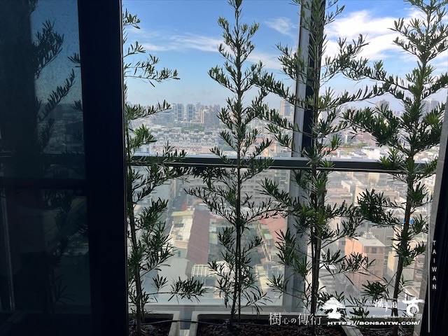 img 3700 1 [我們的作品]景觀綠籬施工-案0802 露台造景