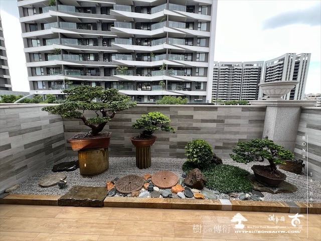 img 3737 1 [我們的作品]盆景式庭園設計施工-案0815 露台造景