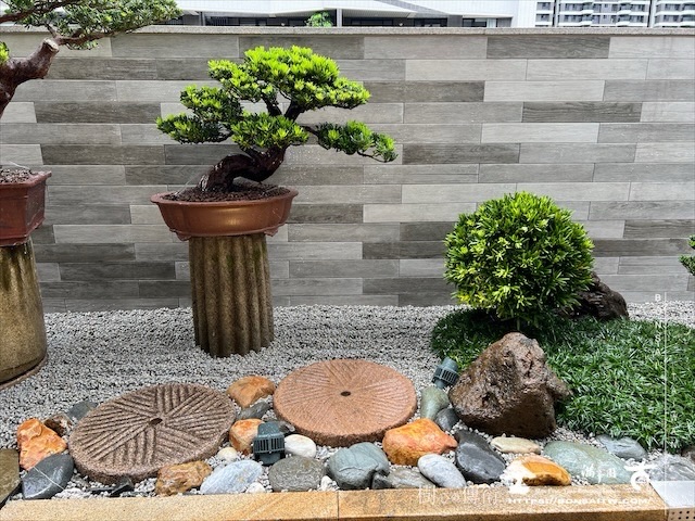 img 3738 1 [我們的作品]盆景式庭園設計施工-案0815 露台造景