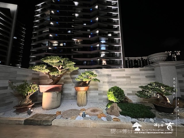 img 3745 1 [我們的作品]盆景式庭園設計施工-案0815 露台造景