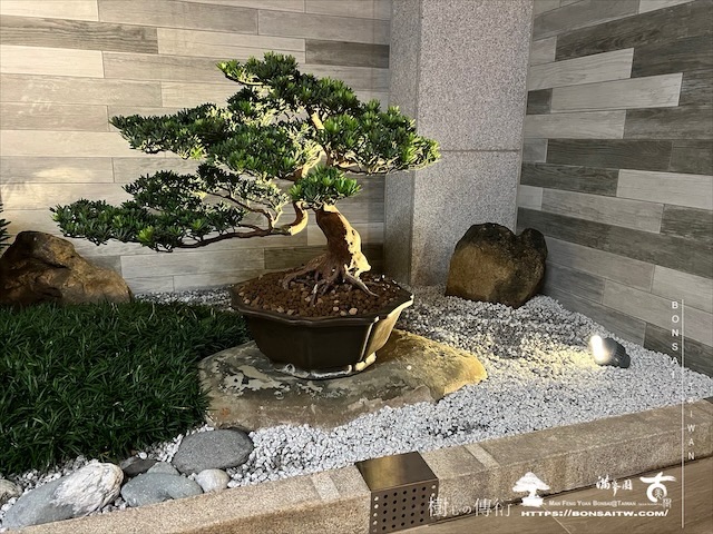 img 3747 1 [我們的作品]盆景式庭園設計施工-案0815 露台造景
