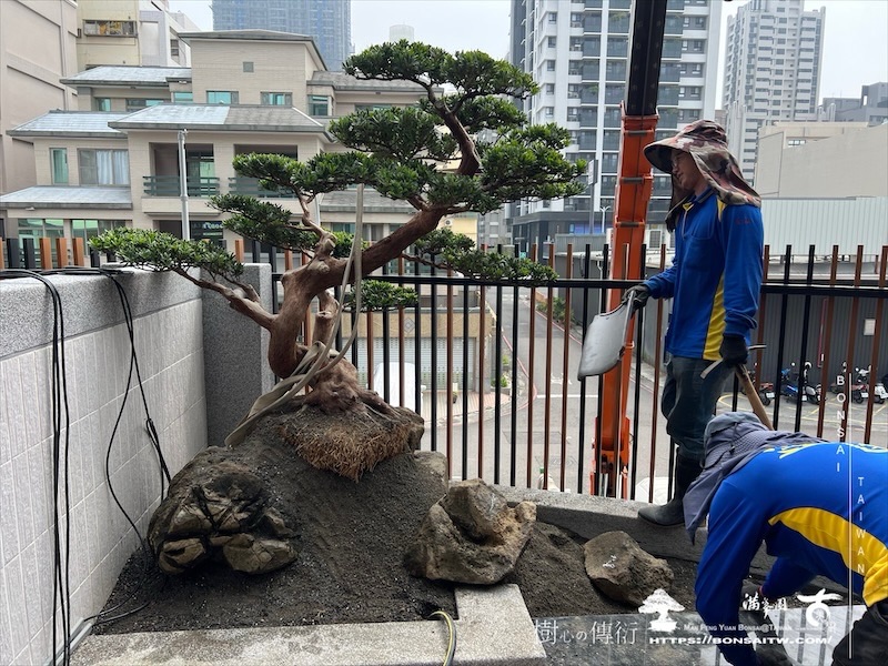 img 8835 1 [我們的作品]客廳景觀設計施工-案1015 露台造景