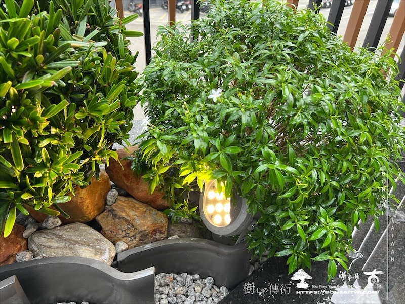 img 8839 1 [我們的作品]客廳景觀設計施工-案1015 露台造景