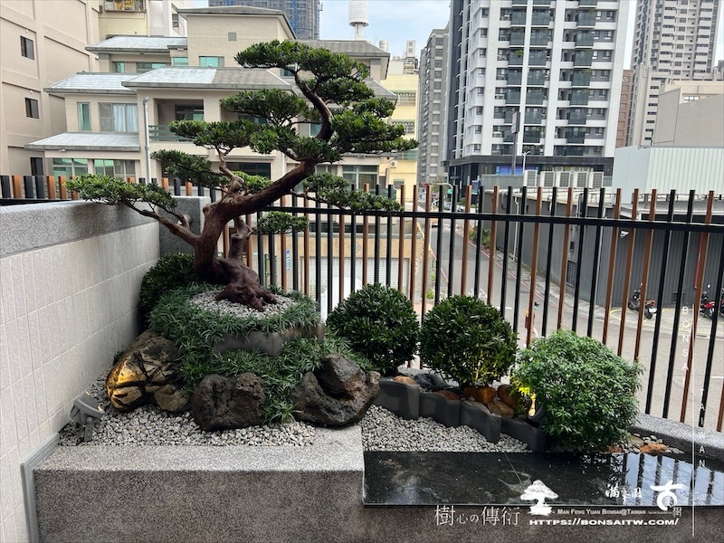 img 8842 1 [我們的作品]客廳景觀設計施工-案1015 露台造景