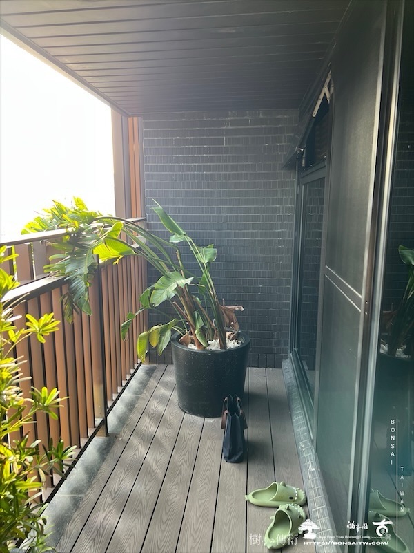 img 0260 1 [我們的作品]露台景觀設計施工-案1018 盆栽(Bonsai)