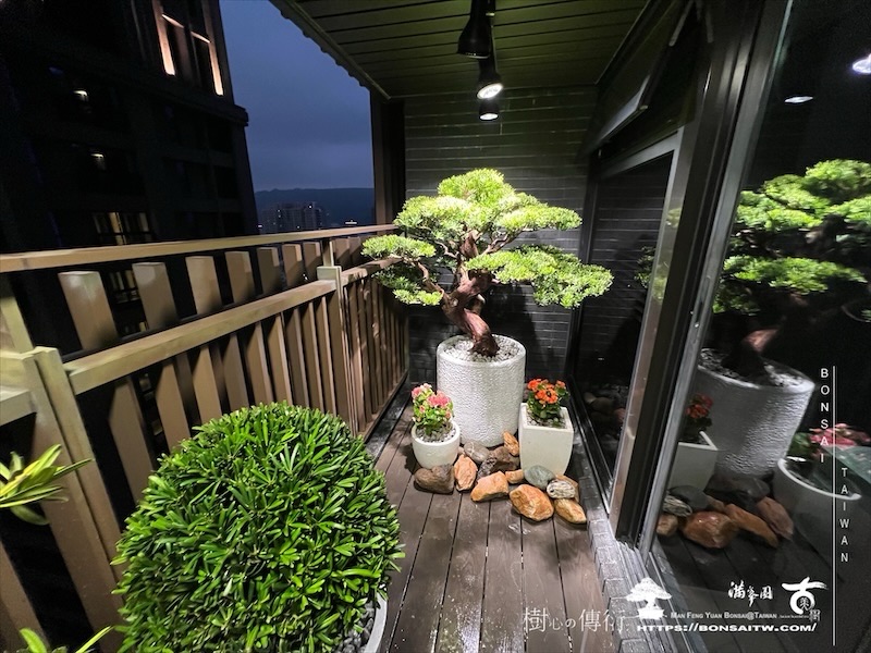img 0272 1 [我們的作品]露台景觀設計施工-案1018 盆栽(Bonsai)