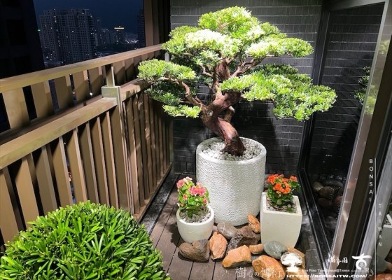 img 0274 1 [我們的作品]露台景觀設計施工-案1018 庭園造景