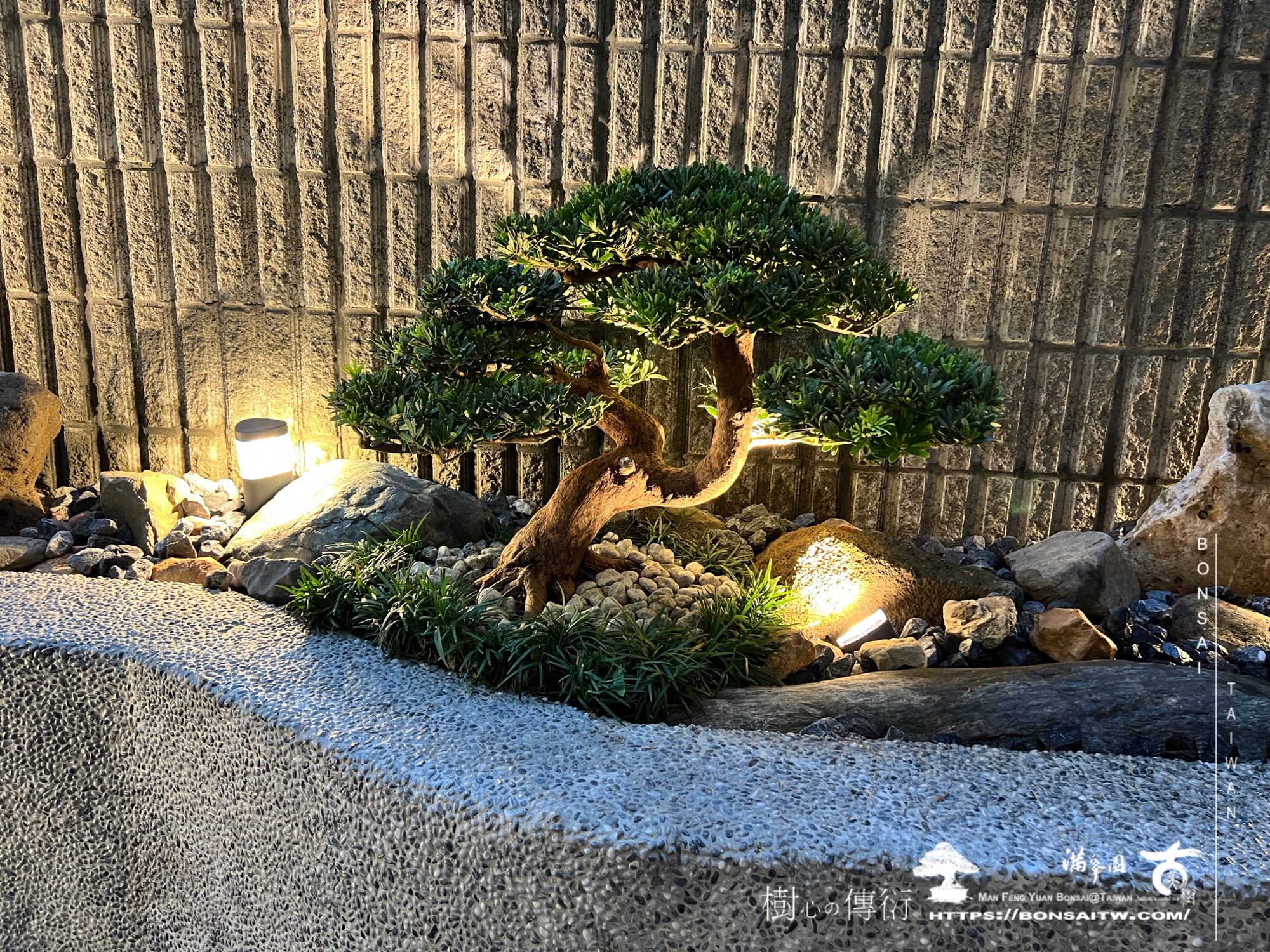 img 1541 1 [我們的作品]小庭景觀設計施工-案1105 盆栽(Bonsai)