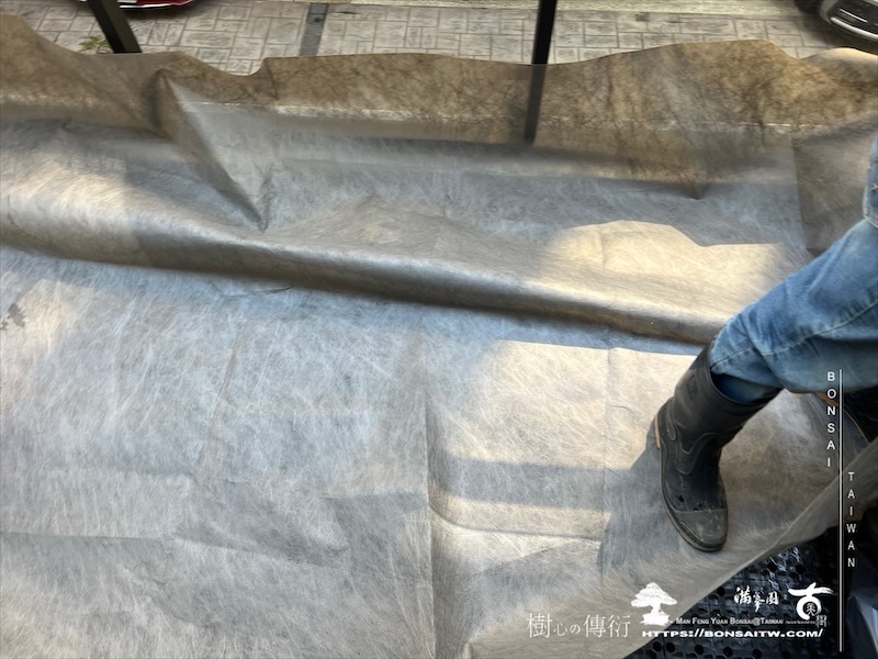 img 1551 1 [我們的作品]露台景觀設計施工-案1106 盆栽(Bonsai)