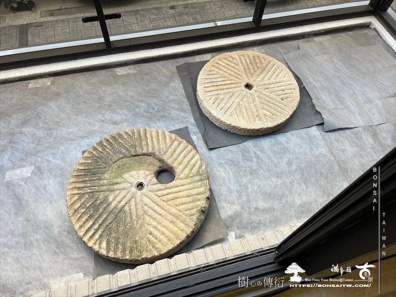 img 1558 1 [我們的作品]露台景觀設計施工-案1106 盆栽(Bonsai)