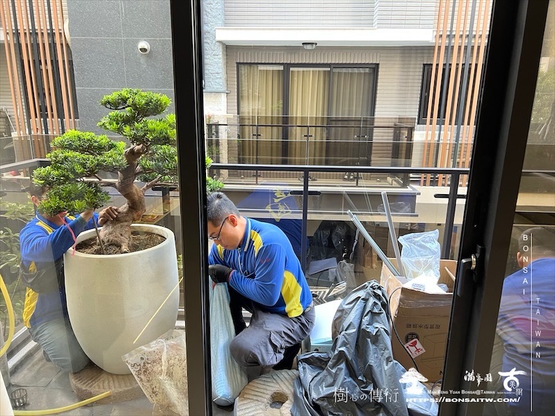 img 1560 1 [我們的作品]露台景觀設計施工-案1106 盆栽(Bonsai)