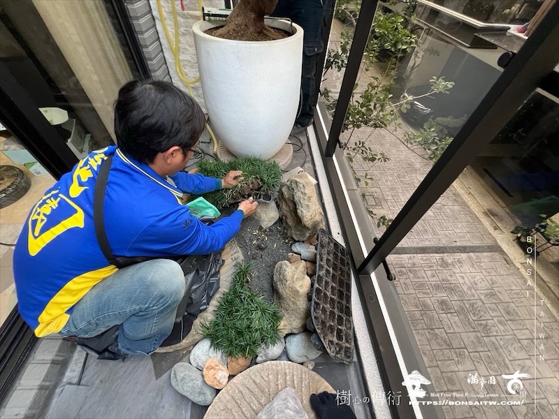 img 1562 1 [我們的作品]露台景觀設計施工-案1106 盆栽(Bonsai)