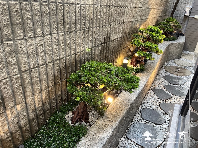 img 1563 1 [我們的作品]小庭景觀設計施工-案1105 盆栽(Bonsai)