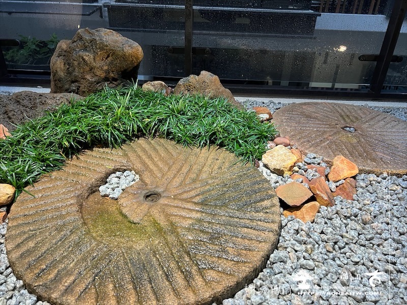 img 1581 1 [我們的作品]露台景觀設計施工-案1106 盆栽(Bonsai)