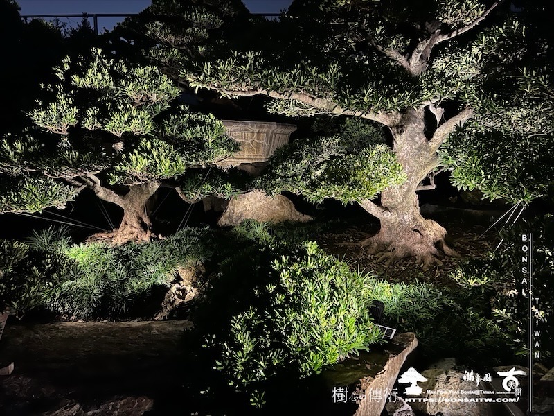 img 1596 1 [我們的作品]夜的氛圍 我們的作品(Our Design)