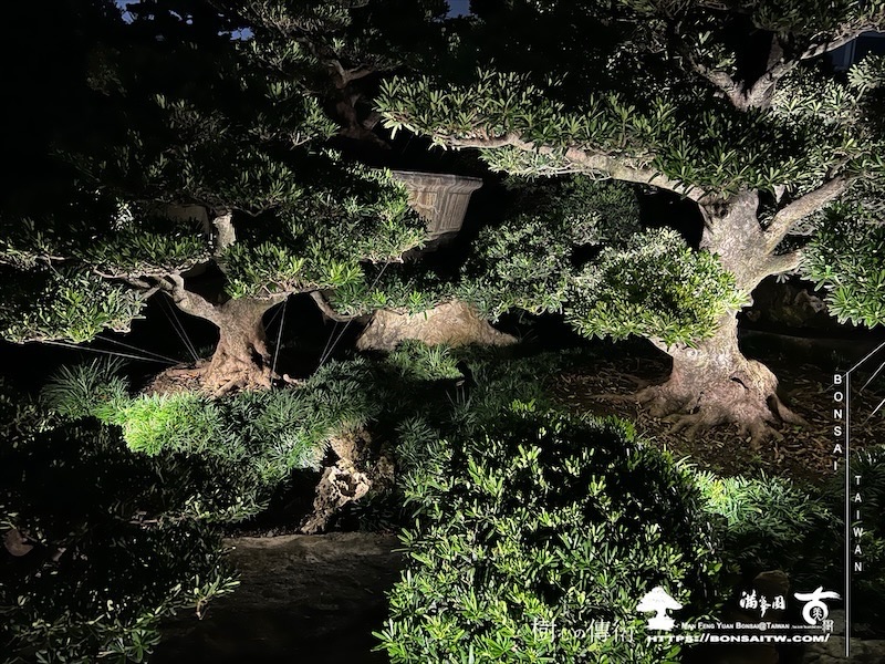 img 1597 1 [我們的作品]夜的氛圍 我們的作品(Our Design)