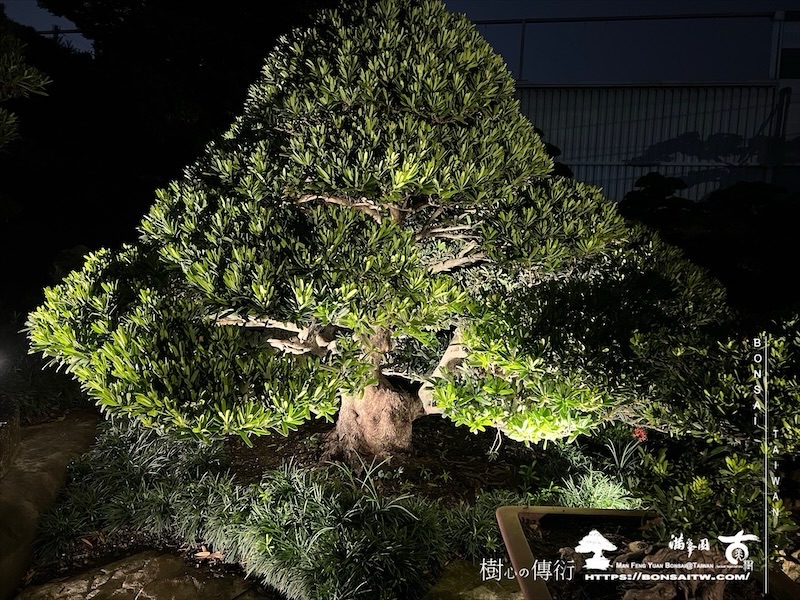 img 1598 1 [我們的作品]夜的氛圍 我們的作品(Our Design)