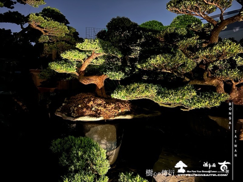 img 1605 1 [我們的作品]夜的氛圍 我們的作品(Our Design)