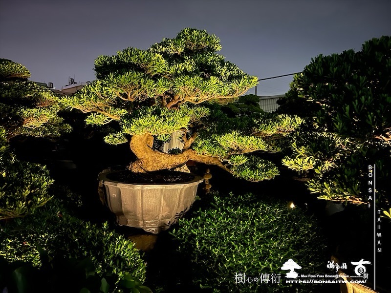 img 1606 1 [我們的作品]夜的氛圍 我們的作品(Our Design)