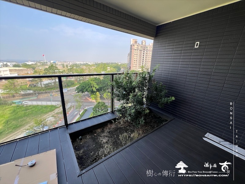 img 3330 1 [我們的作品]露台景觀設計施工-案1127 盆栽(Bonsai)