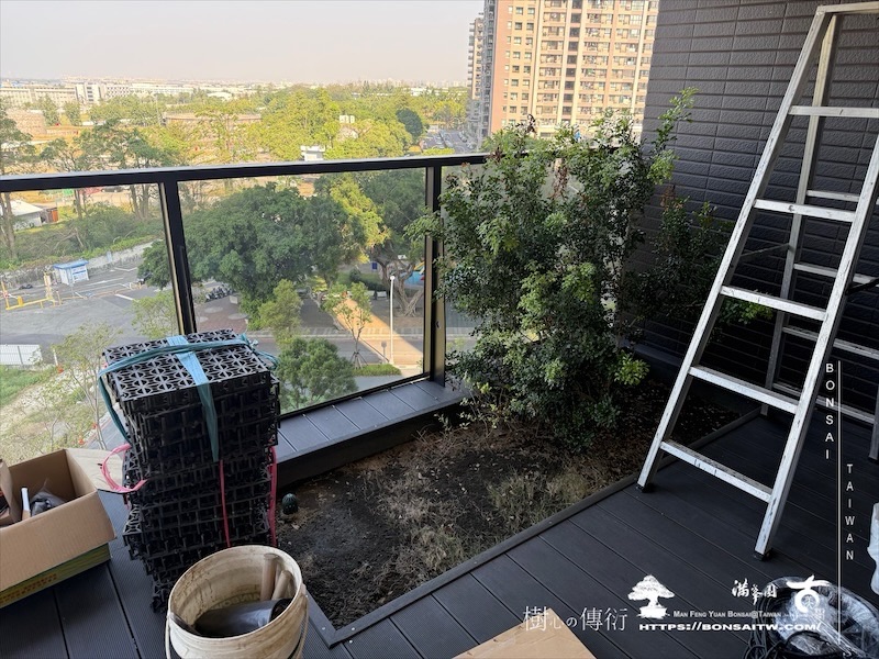 img 3331 1 [我們的作品]露台景觀設計施工-案1127 盆栽(Bonsai)