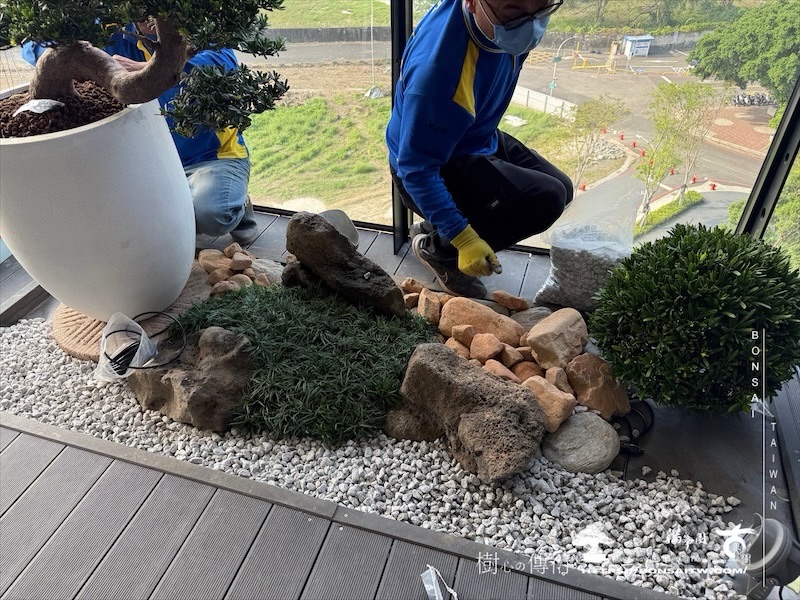img 3338 1 [我們的作品]露台景觀設計施工-案1127 盆栽(Bonsai)