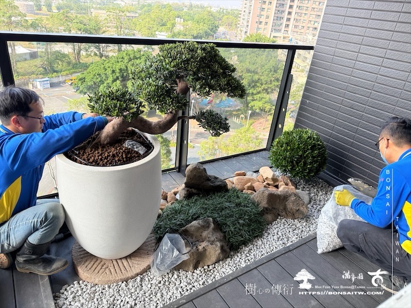 img 3339 1 [我們的作品]露台景觀設計施工-案1127 盆栽(Bonsai)