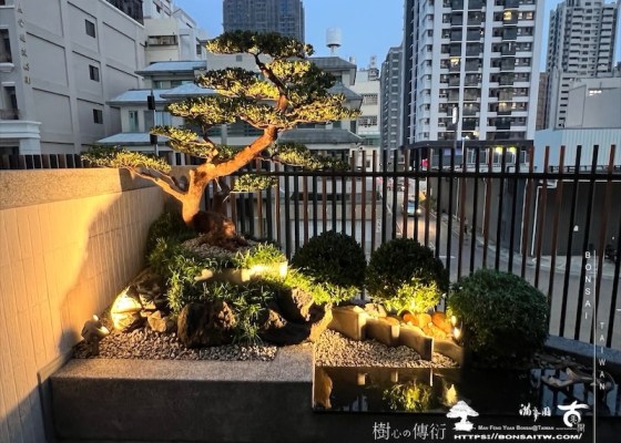 img 8845 1 [我們的作品]客廳景觀設計施工-案1015 庭園規劃