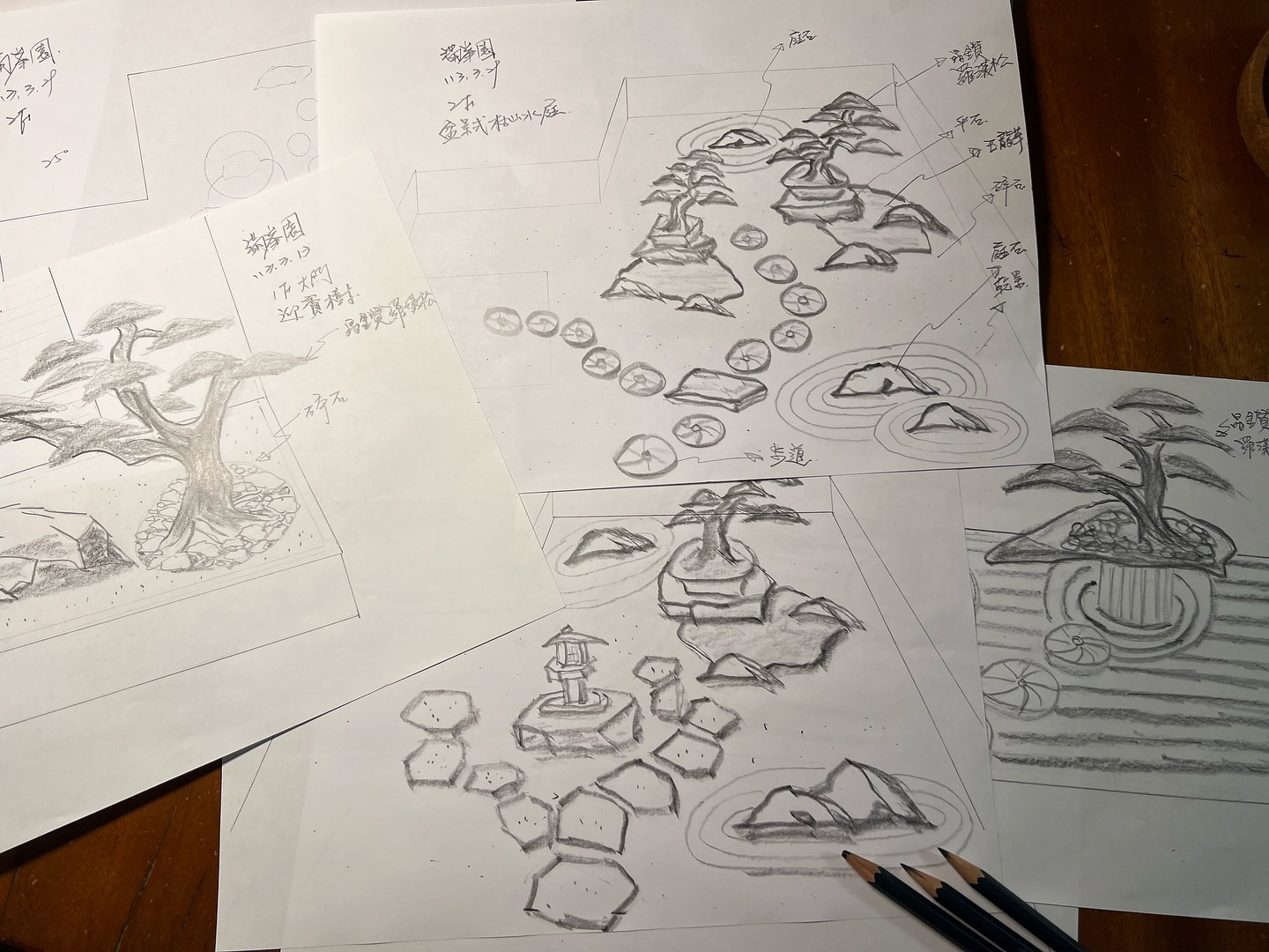 434318213 18392662006072922 5740849784254878578 n 走過精彩2024，一起加油！ 盆栽(Bonsai)