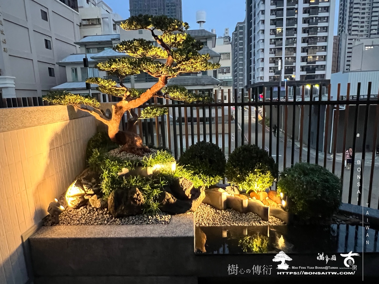463397535 18425965966072922 459150229467123030 n 走過精彩2024，一起加油！ 盆栽(Bonsai)