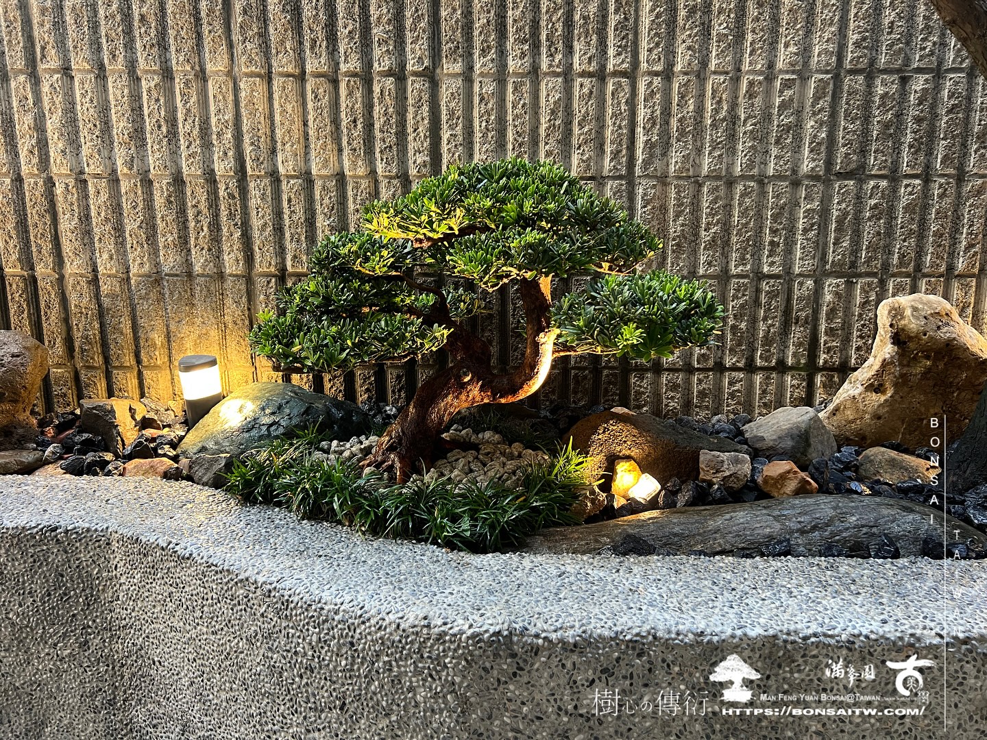 465987989 18430275112072922 1251851050208127438 n 走過精彩2024，一起加油！ 盆栽(Bonsai)