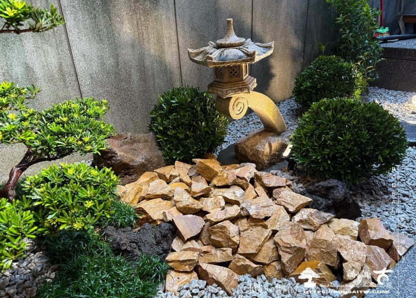 471756137 18438921595072922 3566379407206940594 n 走過精彩2024，一起加油！ 盆栽(Bonsai)