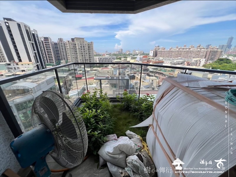 img 5752 1 [我們的作品]露台景觀設計施工-案1212 盆栽(Bonsai)