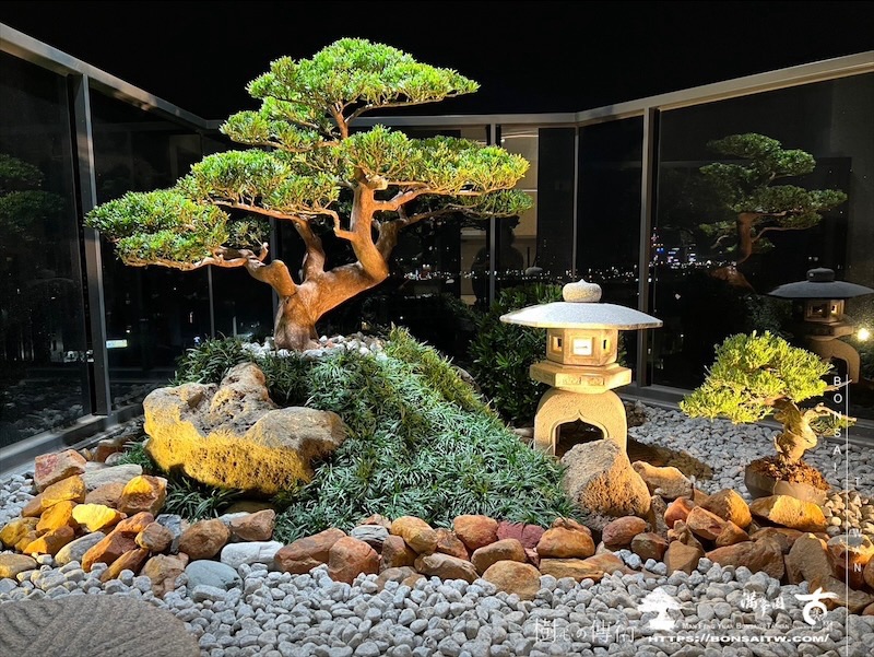 img 5755 1 [我們的作品]露台景觀設計施工-案1212 盆栽(Bonsai)