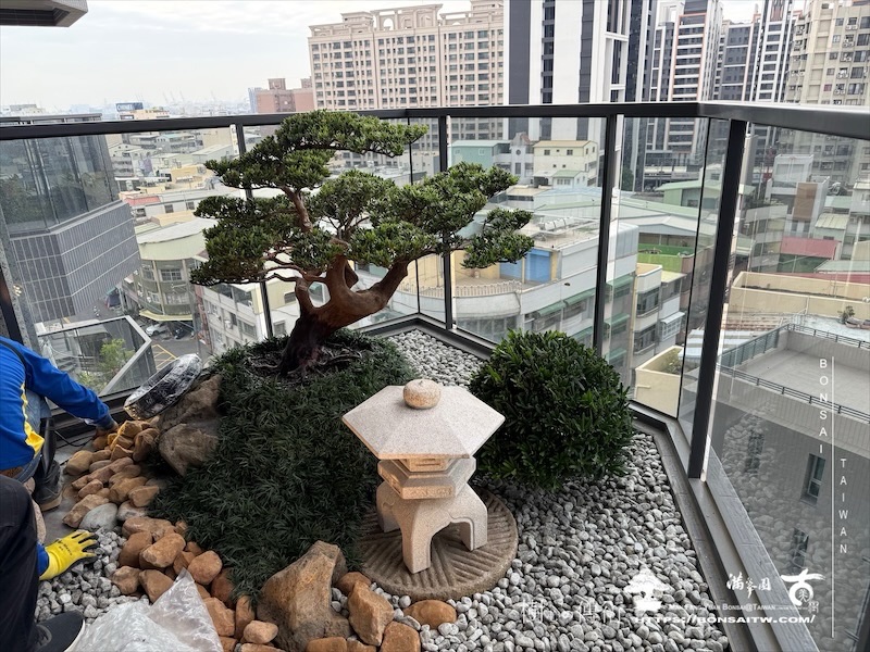 img 5764 1 [我們的作品]露台景觀設計施工-案1212 盆栽(Bonsai)