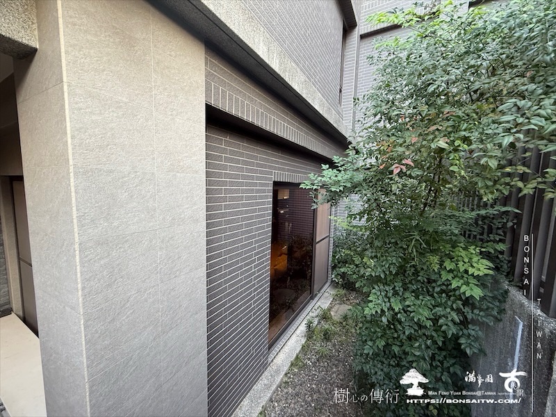 img 7294 1 [我們的作品]景觀設計施工-案122301 大型庭園樹專區(Garden Tree)