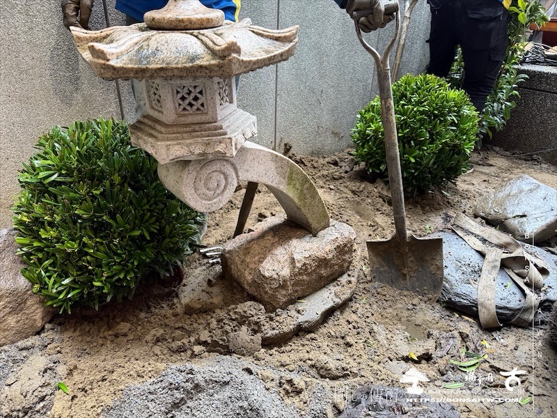 img 7297 1 [我們的作品]景觀設計施工-案122301 大型庭園樹專區(Garden Tree)