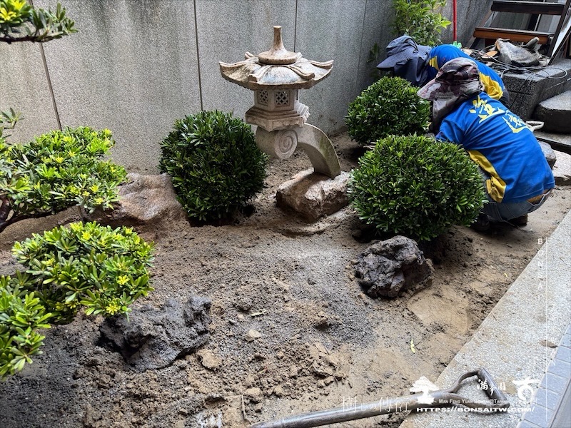 img 7299 1 [我們的作品]景觀設計施工-案122301 大型庭園樹專區(Garden Tree)