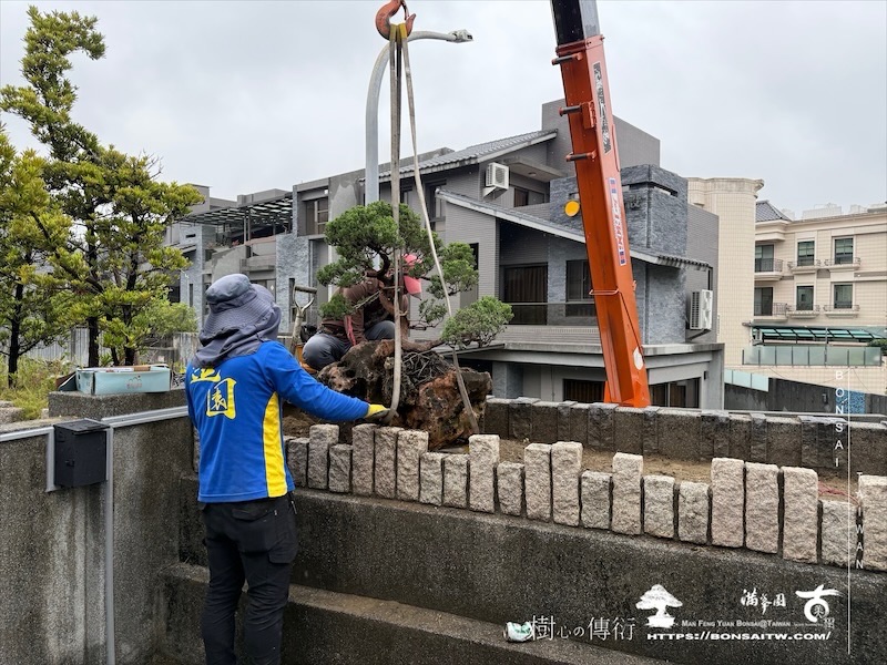 img 7425 1 [我們的作品]景觀設計施工-案122302 盆栽(Bonsai)