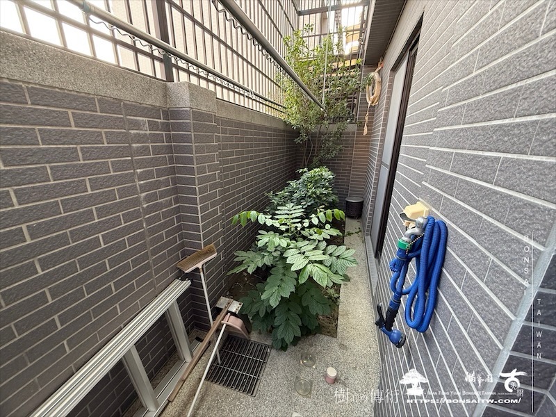 img 7491 1 [我們的作品]景觀設計施工-案122303 客戶案例