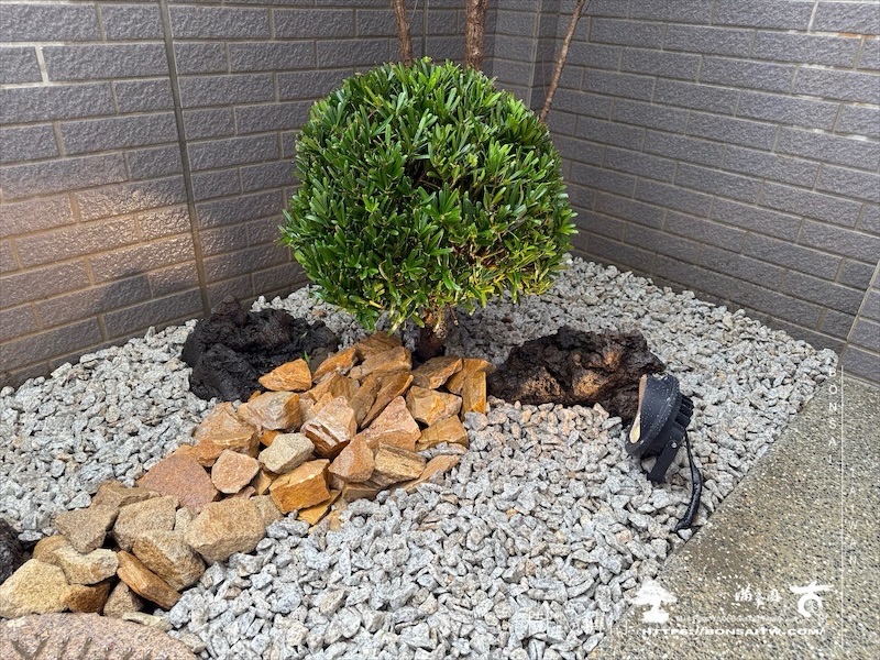 img 7497 1 [我們的作品]景觀設計施工-案122303 客戶案例